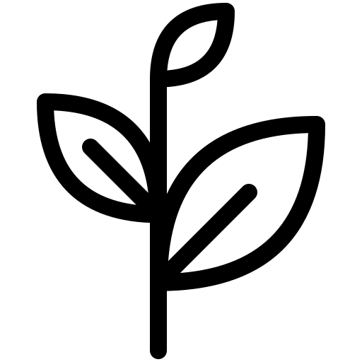 Foundation Level icon showing a young plant with three leaves representing growth, learning, and early development in Abacus education.